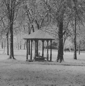 Well in Snow