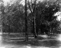 View of Campus with tree lined paths [1920]