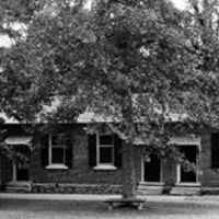 Oak Row