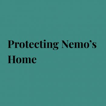 writing Protecting Nemo’s Home